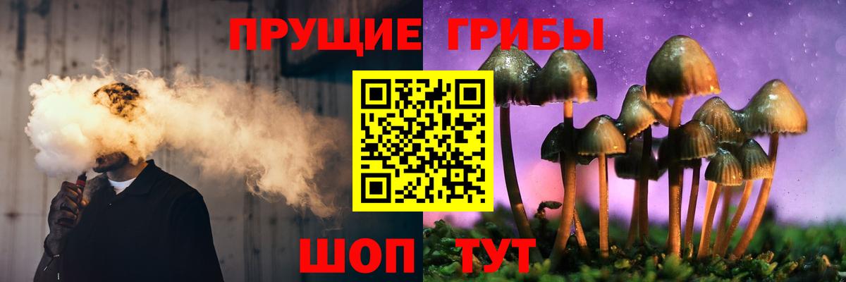 Галлюциногенные грибы Psilocybe Тара